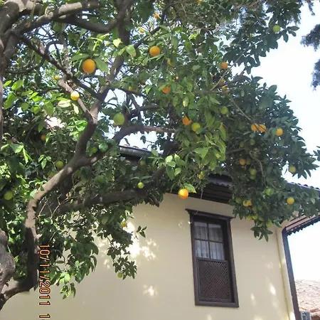 Hotell Afflon Old Marin