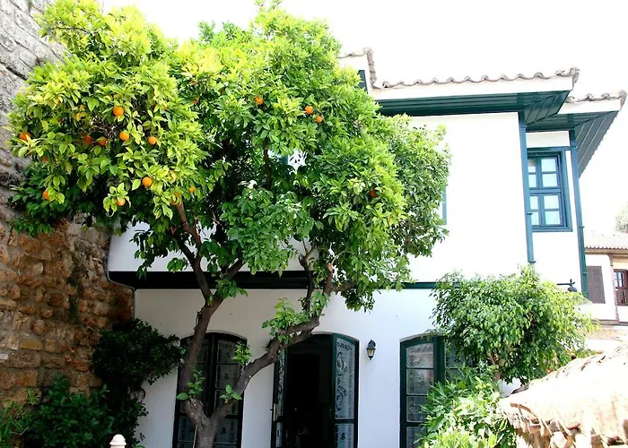 Hotel Afflon Old Marin 3*