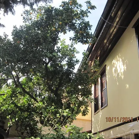 Afflon Old Marin 酒店 安塔利亚