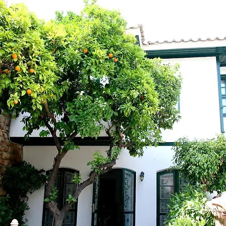 Hotel Afflon Old Marin 2*